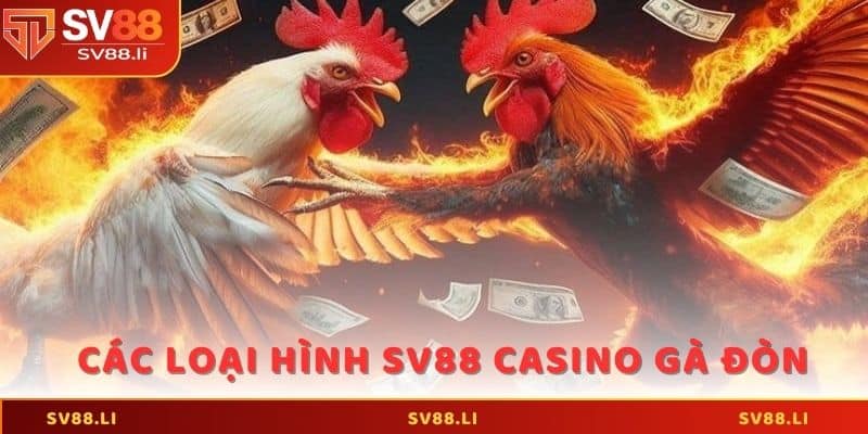 Các loại hình cá cược SV88 casino gà đòn phổ biến