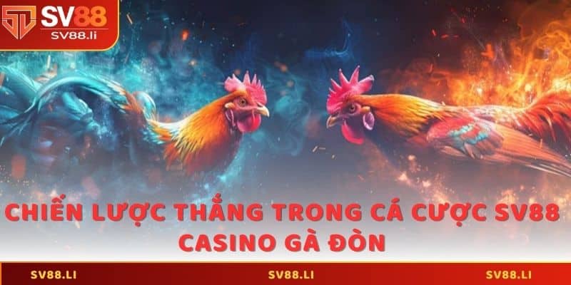 Chiến lược thắng trong cá cược SV88 casino gà đòn