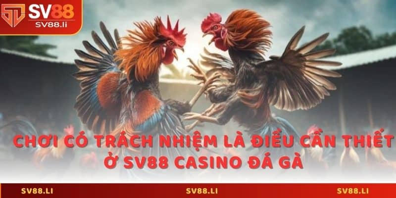 Chơi có trách nhiệm là điều cần thiết ở SV88 casino đá gà