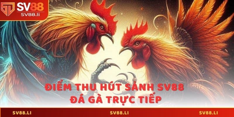 Điểm thu hút của sảnh SV88 đá gà trực tiếp