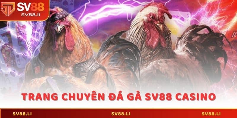 Giới thiệu về trang chuyên đá gà SV88 Casino