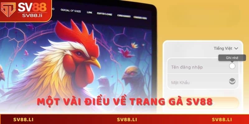 Một vài điều về trang gà SV88