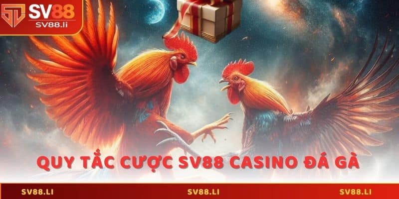 Quy tắc cược SV88 casino đá gà dành cho tân thủ