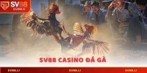 SV88 Casino Đá Gà - Cơ Hội Chơi Cá Cược Kịch Tính Nhất 2025