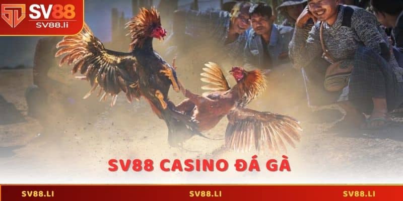 SV88 Casino Đá Gà - Cơ Hội Chơi Cá Cược Kịch Tính Nhất 2025