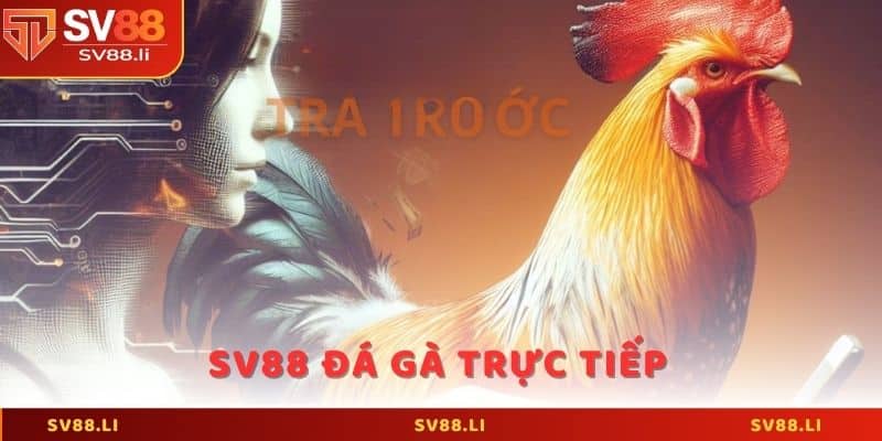 SV88 đá gà trực tiếp - Trải nghiệm chọi gà cực hấp dẫn