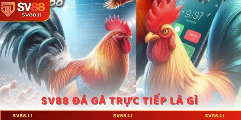 SV88 đá gà trực tiếp là gì