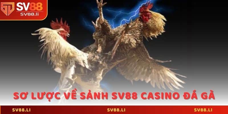 Sơ lược thông tin về sảnh SV88 casino đá gà