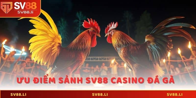 Ưu điểm vượt trội của sảnh SV88 casino đá gà